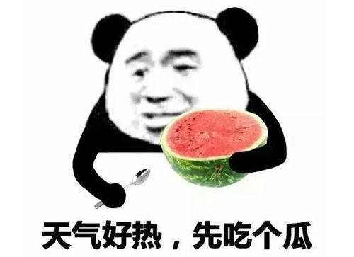 吃瓜的表情如何回复,揭秘网络社交中的趣味与智慧